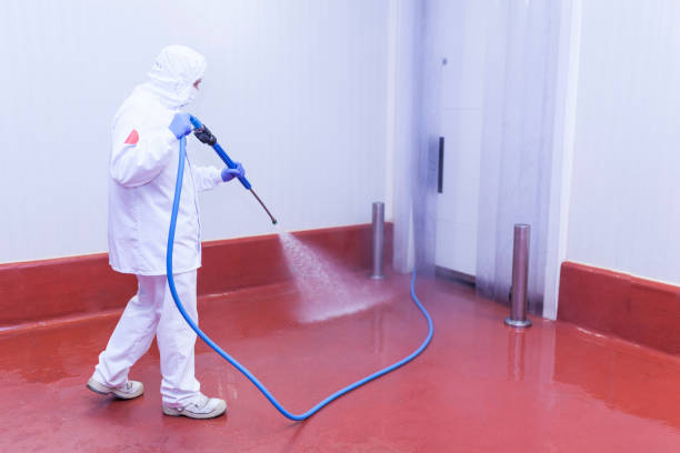 Best Restaurant Pressure Washing  in Boling, TX